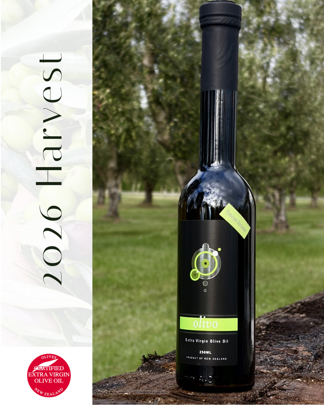 Olivo TUSCAN ESTATE Extra Virgin Olive Oil 250mL