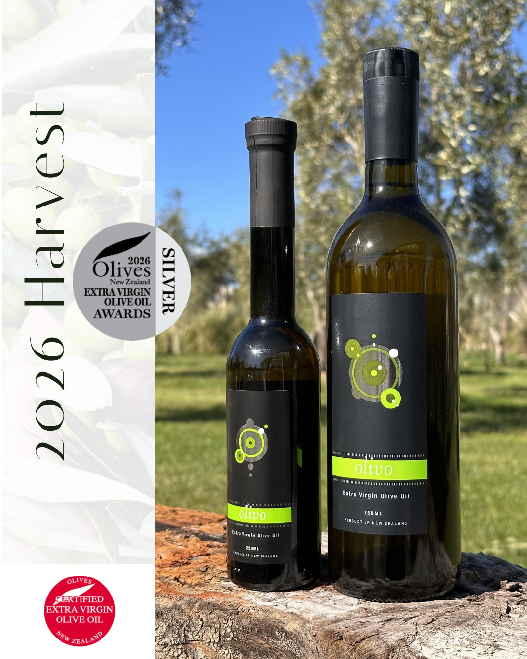 Olivo ESTATE Extra Virgin Olive Oil