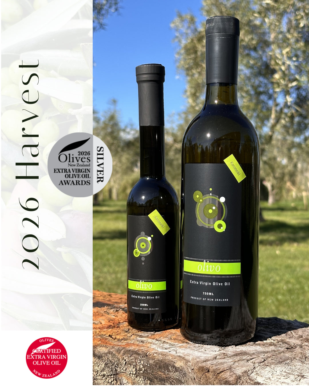 Olivo KORONEIKI Extra Virgin Olive Oil