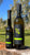 2025 Harvest Olivo Extra Virgin Olive Oil