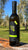 2025 Harvest Olivo Extra Virgin Olive Oil